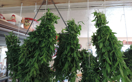Hanging Mint to Dry